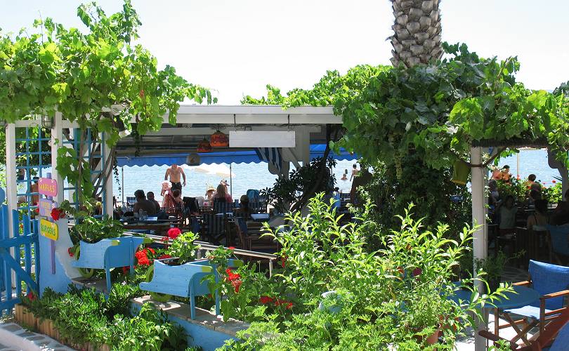 The beach cafe