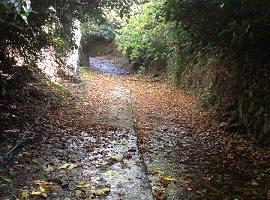 Autumn in Naxos