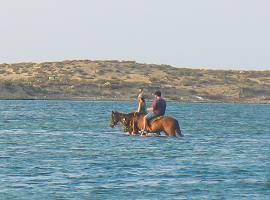 Experience Naxos