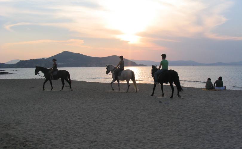 Explore Naxos on a horseback
