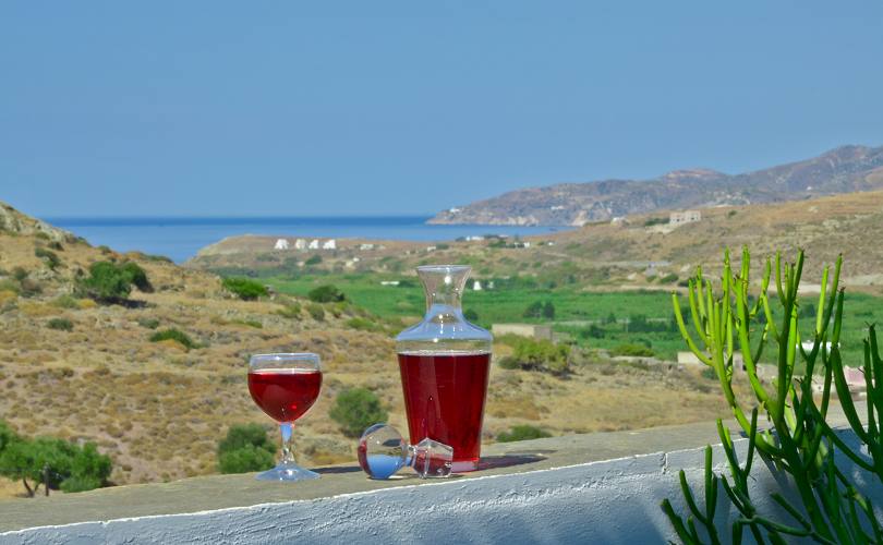 Naxos Filoxenia Hotel